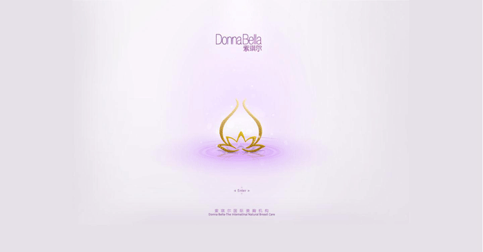 紫琪爾國(guó)際美胸機(jī)構(gòu) 網(wǎng)站建設(shè) m.shuizhela.com