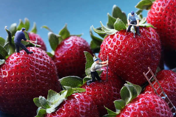 這樣的攝影在網(wǎng)站設(shè)計中有啟發(fā)嗎！ m.shuizhela.com