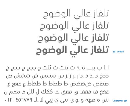 它講什么語言？