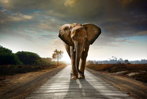 避免設計網站常見錯誤的方法。 避免設計網站常見錯誤的方法。