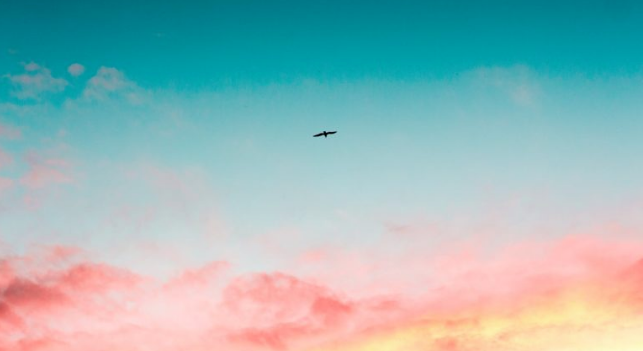 網(wǎng)站建設(shè) 網(wǎng)站建設(shè)