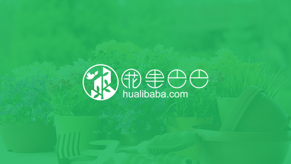 花里巴巴-.png 花里巴巴-.png