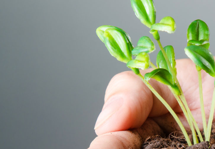 一個網站在制作前，必須要注意什么