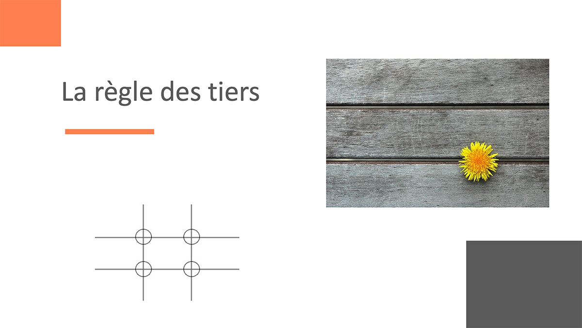 regle-trois.jpg regle-trois.jpg